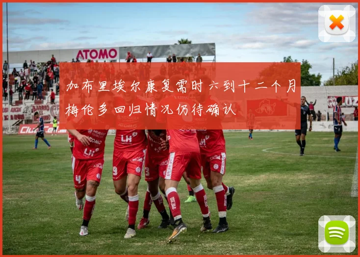 加布里埃尔康复需时六到十二个月梅伦多回归情况仍待确认