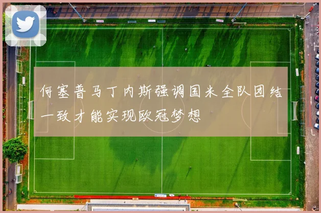何塞普马丁内斯强调国米全队团结一致才能实现欧冠梦想
